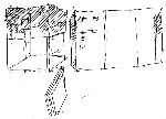 Vis