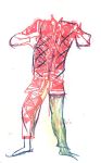Vis