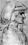 Vis