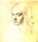 Vis