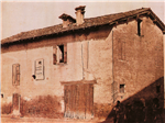Vis