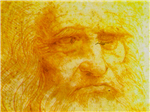 Vis