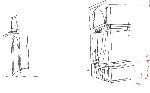 Vis