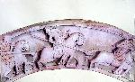Vis