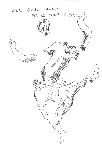 Vis