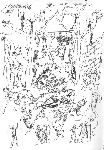 Vis