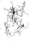Vis