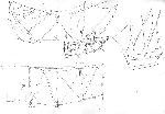 Vis