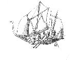 Vis