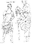 Vis