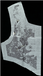 Vis