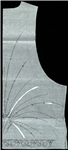 Vis