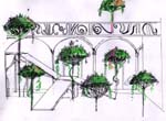 Vis