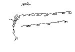 Vis