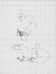 Vis