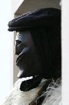 Vis