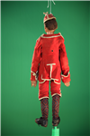 Vis