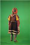 Vis