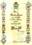 Vis