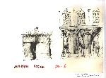 Vis