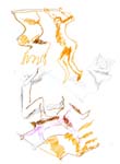 Vis