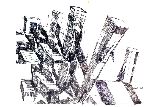 Vis