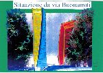 Vis